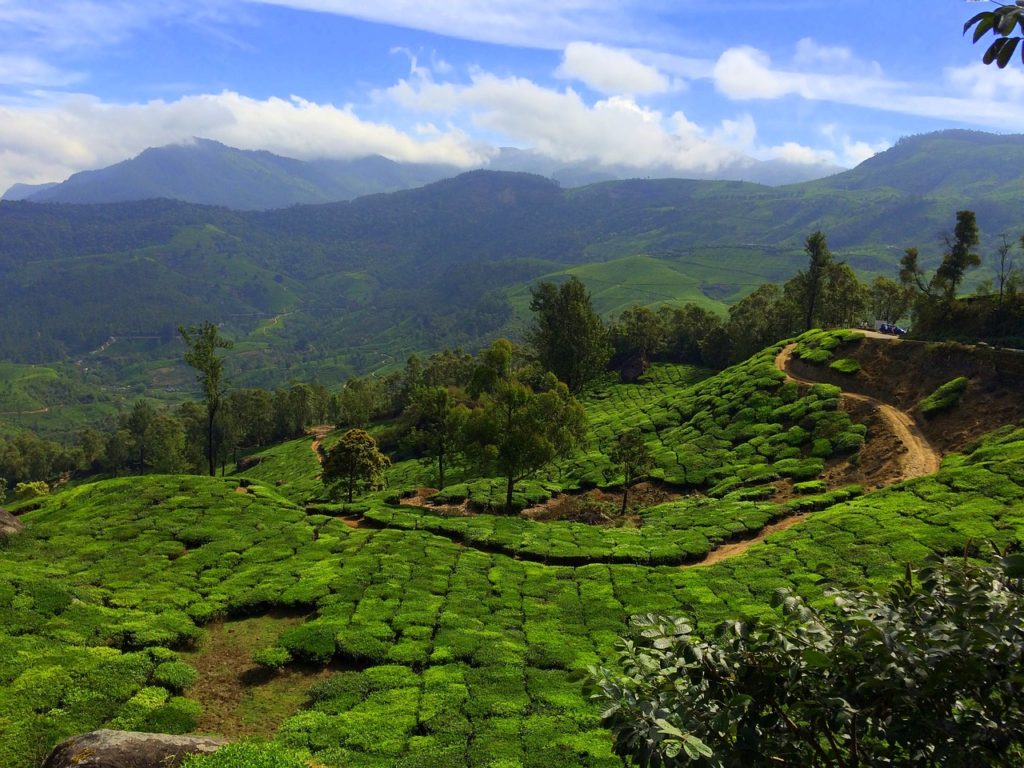 munnar places to visit