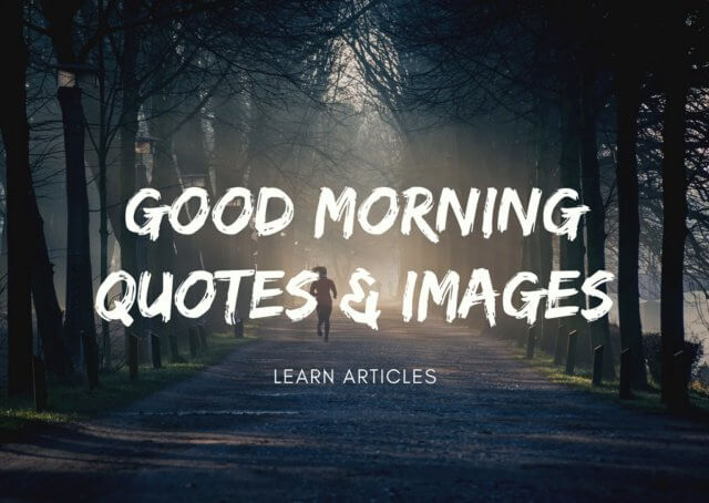 Good Morning Quotes and The Importance They Hold | Learn Articles