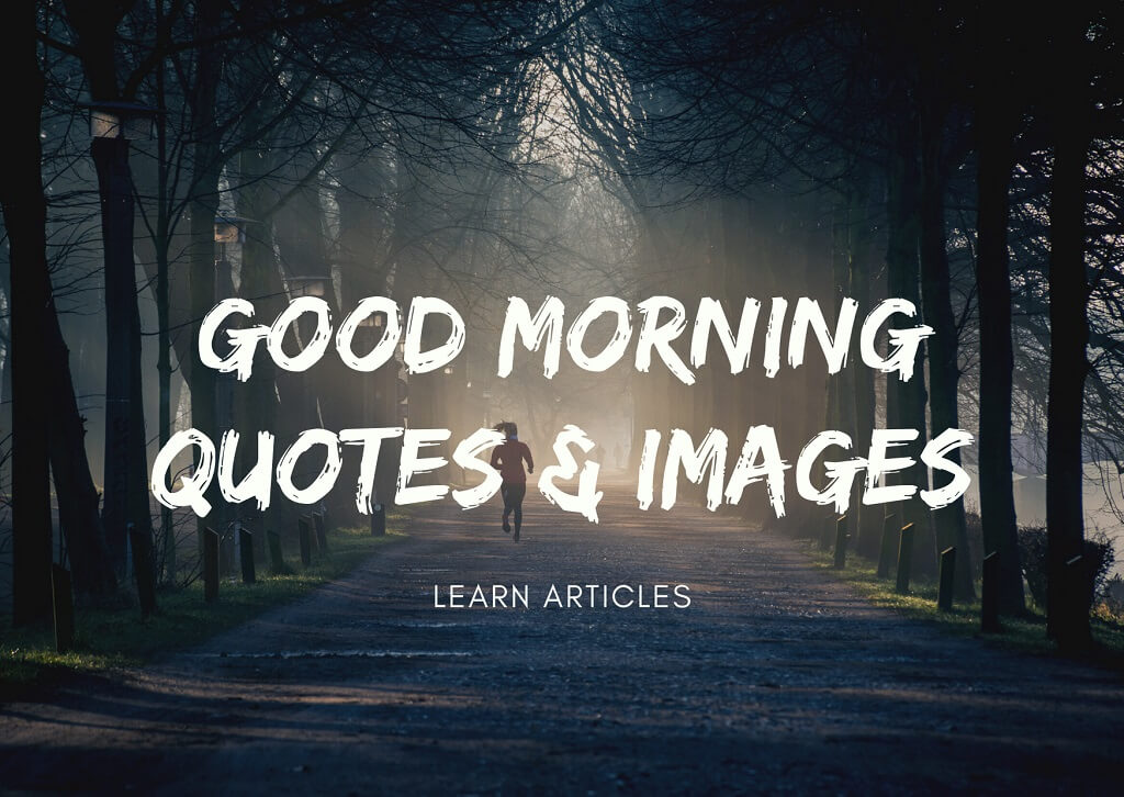 Good Morning Quotes and The Importance They Hold